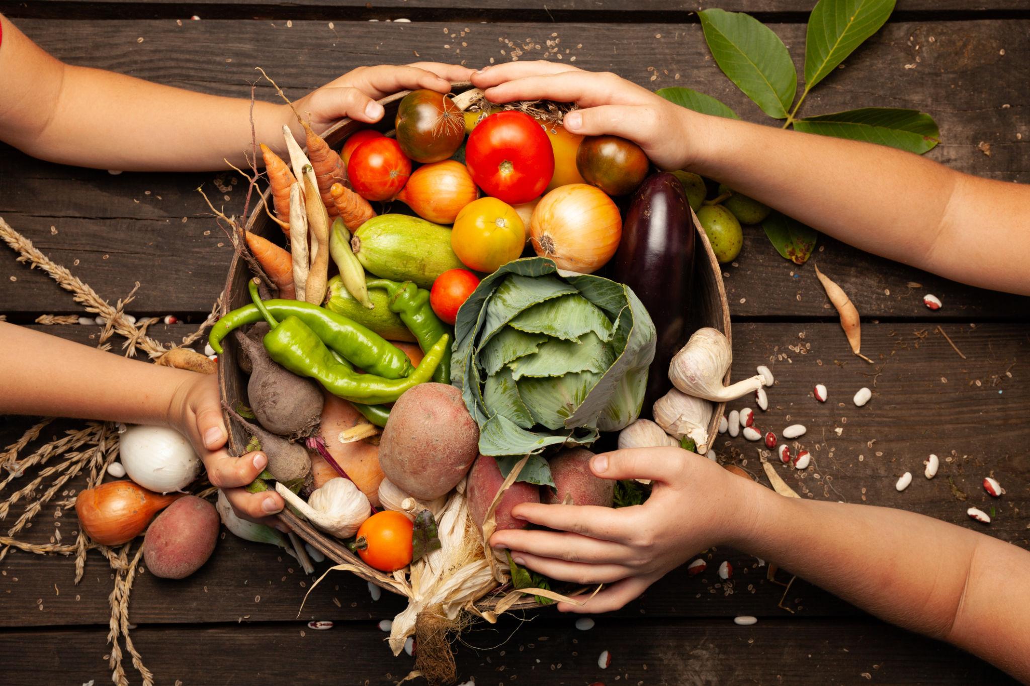 Hands holding basket of colorful fresh vegetables