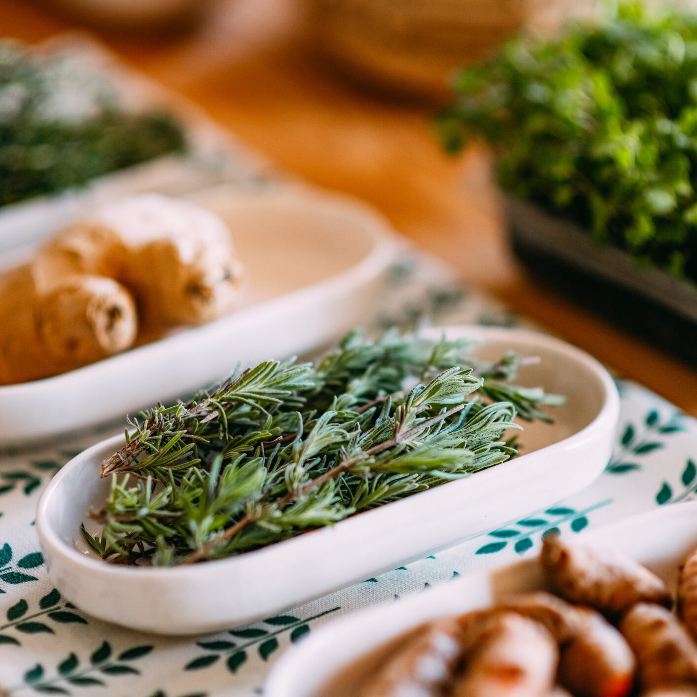 Fresh herbs and roots in white dishes